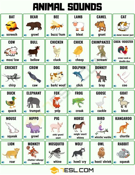 Animal Sounds List Of Different Animal Sounds With Pictures 7esl
