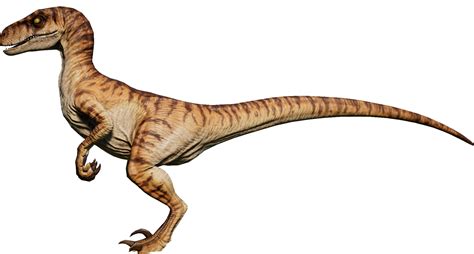 Velociraptor Jurassic World Jurassic Park Trilogy Velociraptor