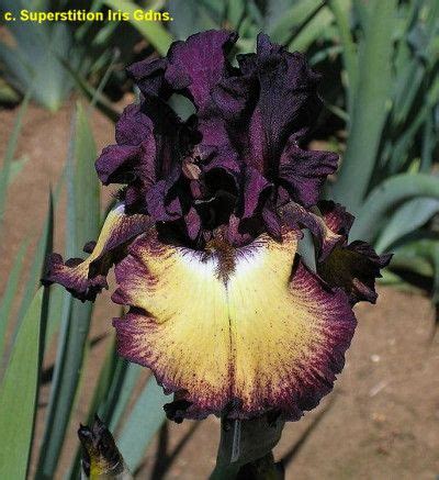 59,101 likes · 26 talking about this. Pin on Fall2015 planting
