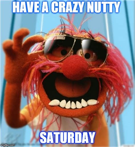 Have A Crazy Nutty Saturday Imgflip