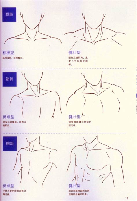 How To Draw Shoulder At How To Draw