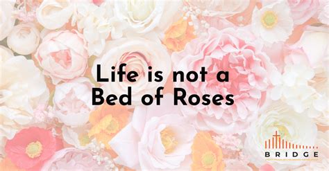 Life Is Not A Bed Of Roses Sg