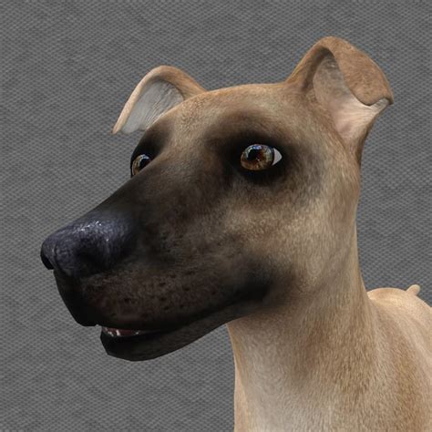 Dog Blender Models For Download Turbosquid
