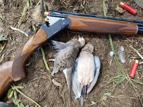 5 Takeaways From My 28 Gauge Dove Opener Field And Stream