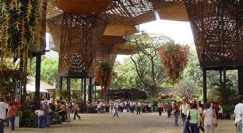 Jardín Botánico De Medellín Medellín Colombia Qué Ver Y Hacer