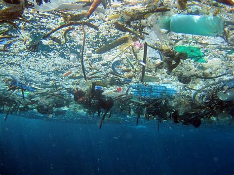 Great Pacific Garbage Patch National Geographic Society Ocean