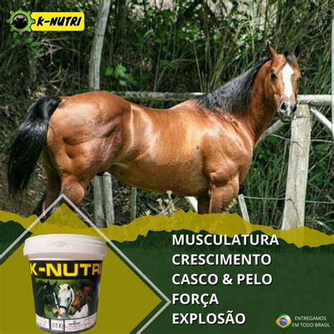 Suplemento Para Cavalo Musculatura Casco E Pelo K Nutri 1kg
