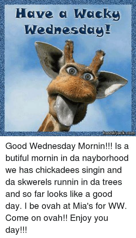 🅱️ 25 Best Memes About Wacky Wednesday Wacky Wednesday