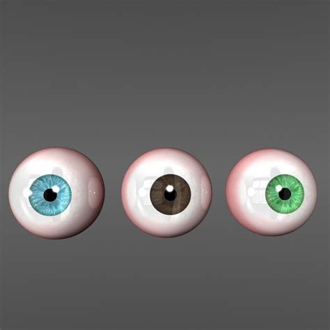 Realistic Eyeball Free 3d Models