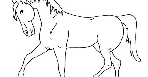 Kuda Sketsa Gambar Hewan Kartun Contoh Sketsa Gambar