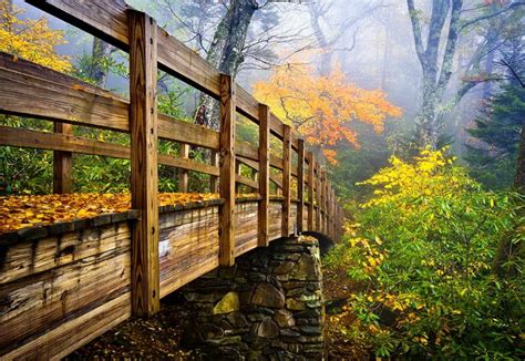 Bridge Over The Forest River Download Hd Wallpapers And Free Images