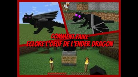 comment faire éclore l oeuf de l ender dragon youtube