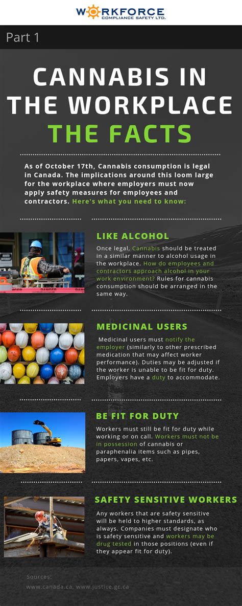 Cannabis Legalization And The Workplace The Facts Infographic Workforce Compliance Safety Ltd