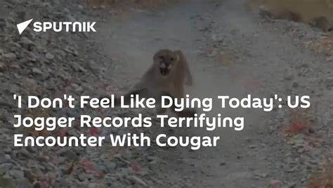 I Don T Feel Like Dying Today Us Jogger Records Terrifying Encounter With Cougar