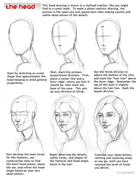 Drawsh Head Drawing Step By Step