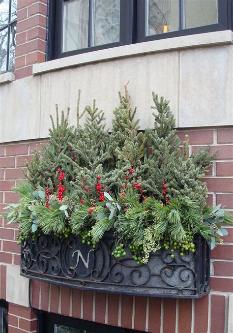 In gloomy winter weather, the special charm of the window box lies not so much in colourful floral displays but more in its clever use of handsome foliage and berrying plants. winter, decor, window box, spruce tops, evergreens, urban ...