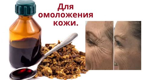 Для лечения и омоложения кожи. Настойка прополиса в домашней ...