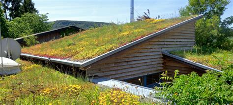 Pitched Green Roofs Up To 25° Zinco Green Roof Systems Uk