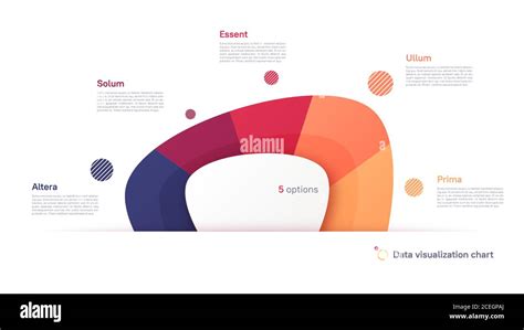 Vector Pie Chart Infographic Template In The Form Of Abstract Shape