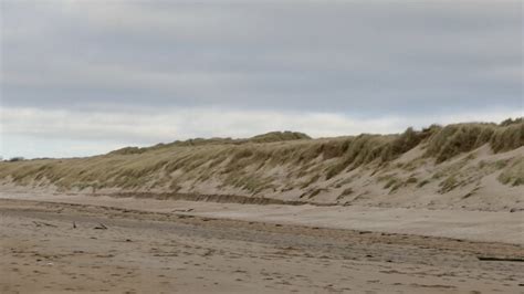 Eroding Dunes Gullane Sands © Richard Webb Geograph Britain And Ireland