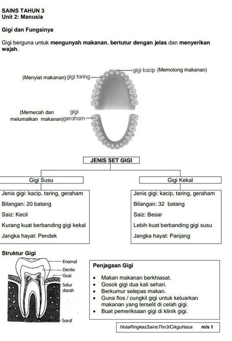 Jangka lukis terdapat dalam pelbagai jenis dan bentuk. Jangka Hayat In English - jet-skaa