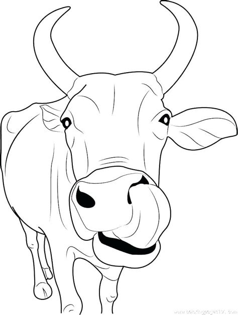 Coloring Page Of Cows
