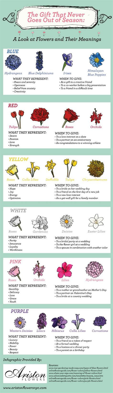 Flowers And Their Meanings Your Number One