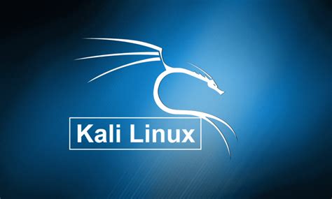 How To Install Kali Linux Steps With Screenshots Techowns