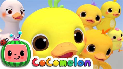 Five Little Ducks Lyrics Cocomelon Kids Songs Lyrics