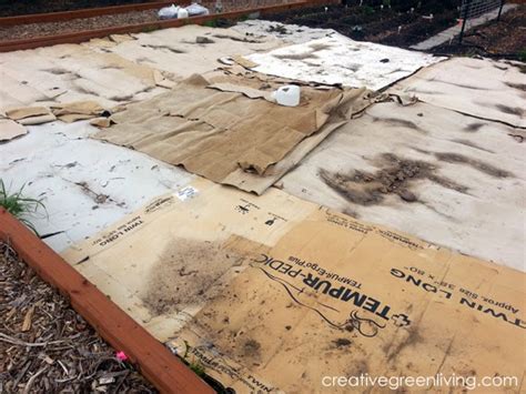 Although a broad spectrum herbicide kills unwanted lawn grass easily, it is costly and leaves use household products for a cheaper and safer alternative to killing undesirable grass. The Non-Toxic Way I Killed All My Grass (On Purpose ...