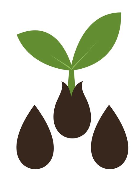 Seed Plant Vector