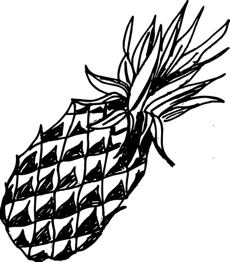 4 Pineapple Drawing (PNG Transparent) | OnlyGFX.com