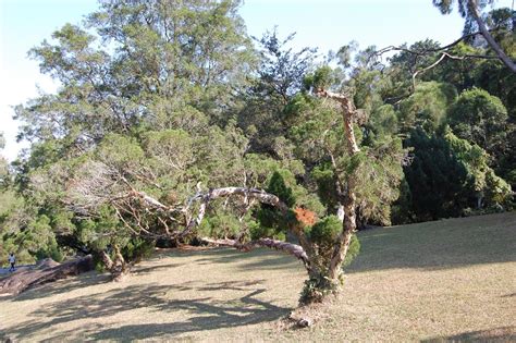 You can get a copy of a map of all the trails in the gardens from the office, which is a couple of minutes walk from the entrance (just follow the left path when you enter the. Botanical Garden Penang, Malaysia - Location Map
