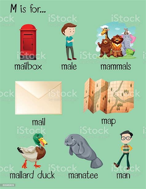 The letter m words with pictures are given here. Many Words Begin With Letter M stock vector art 635960628 | iStock