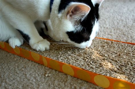 Four Paw Savings Diy Cardboard Cat Scratcher Diy Cat Scratching