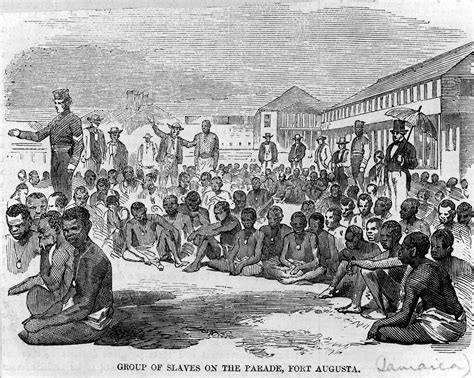 Why Did The British Empire Abolish Slavery In 1833 At The Height Of Its