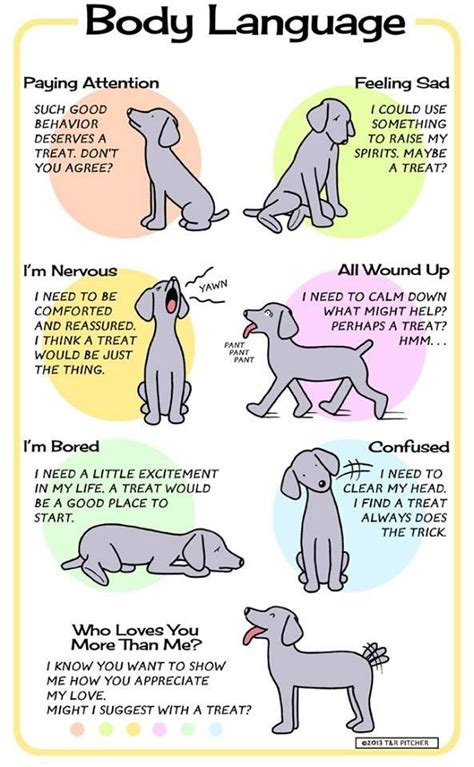 Printable Dog Body Language Chart Printable Word Searches