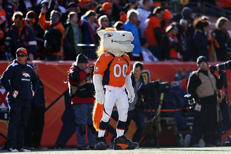 Vote For Your Favorite Colorado Sports Team Mascot