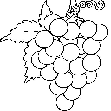 Voici un dessin à colorier de chien de noel. Dessin Grappe de Raisin a colorier | Grappe de raisin ...
