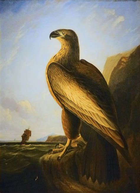 The Portrait Gallery John James Audubon