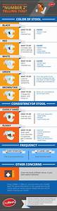 What S Your Toddler S Poo Telling You Infographic Diaresq