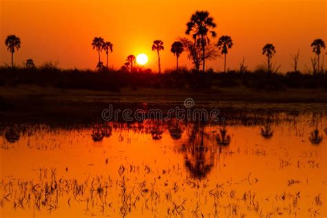 Iconic Orange Sunset Over Africa Stock Photo Image Of Book Iconic