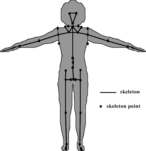 Points For Body Positioning Download Scientific Diagram