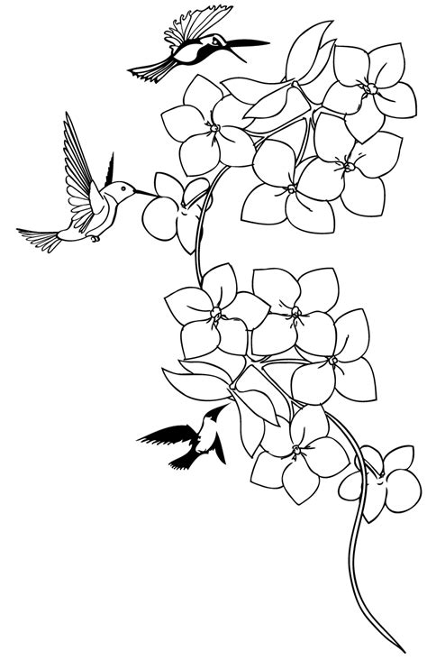 99 stunning hummingbird tattoo ideas. Hummingbird Drawing Tattoo at GetDrawings | Free download