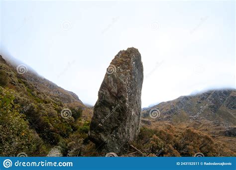 New Zealand Southern Alps Alpine Tundra High Altitude Wild Vegetation