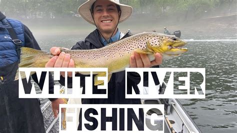 White River Trout Fishing For Rainbows And Browns Youtube