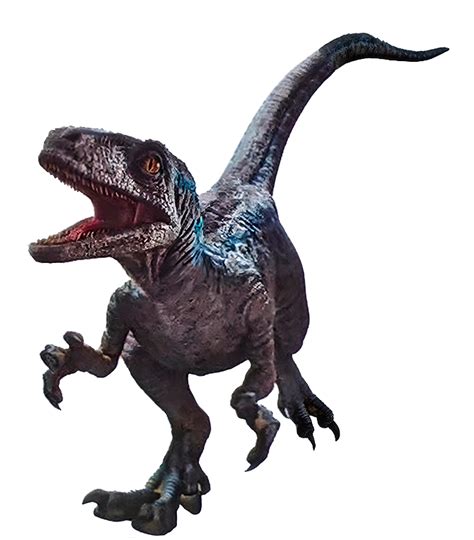 Jurassic World Dominion Blue Beta Velociraptor Realbig Officially Licensed Nbc Universal