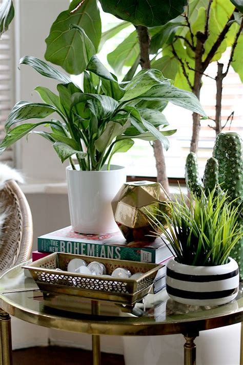 Coffee tables are a living room staple. Image result for plant behind side table | Side table ...
