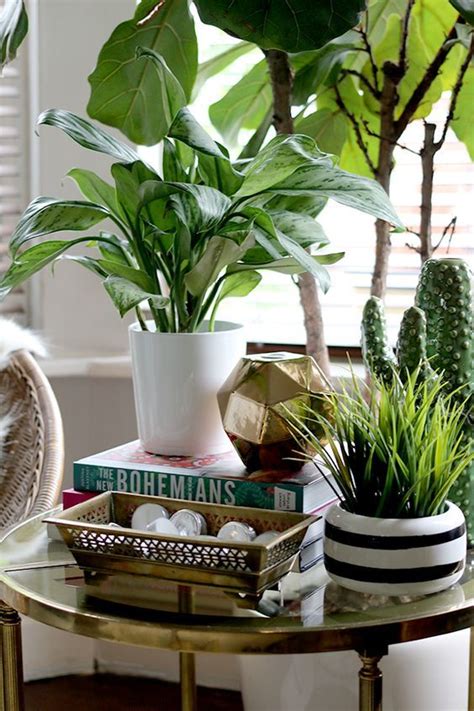 Simply add soil, plants, then water. Image result for plant behind side table | Side table ...