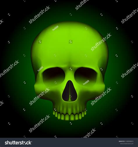 Human Skull Isolated On Black Color Stock Vector Royalty Free